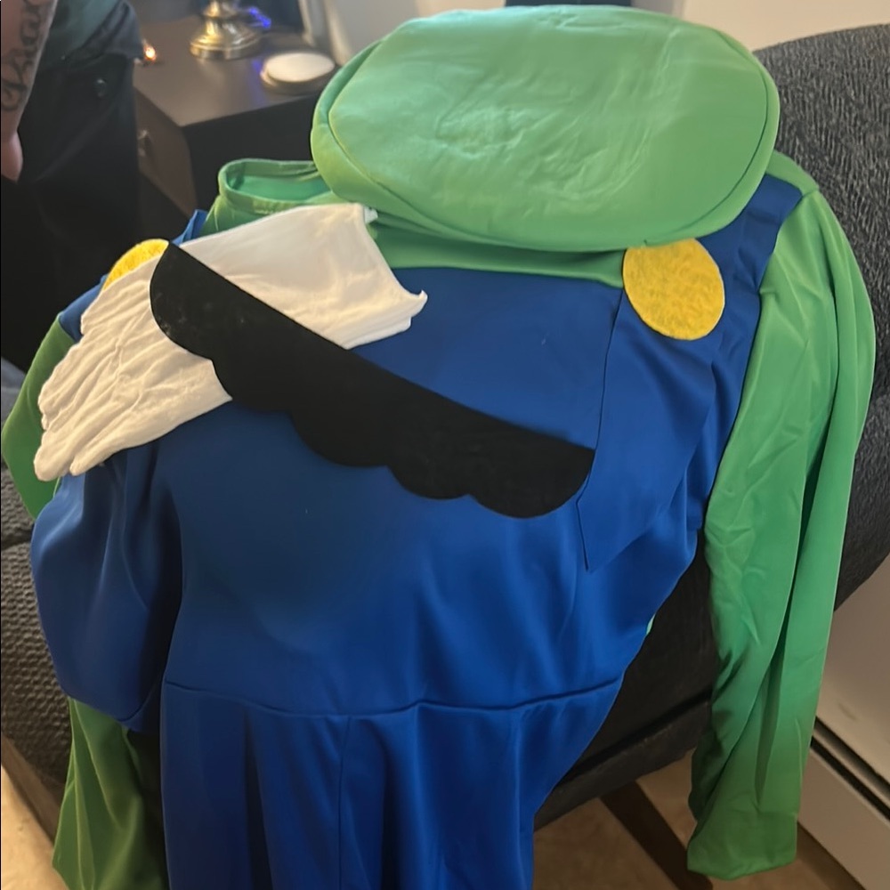 Green and Blue Costume with Accessories